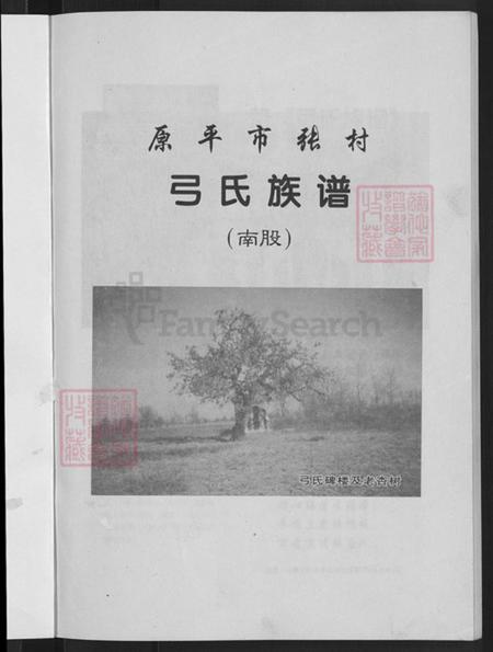 山西省忻州市原平市新原乡弓氏族谱-弓氏族谱(南股).pdf电子版插图3 山西省忻州市原平市新原乡弓氏族谱-弓氏族谱(南股).pdf电子版插图3
