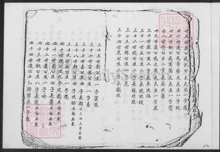 福建省漳州市平和县张氏族谱-张氏世谱.pdf电子版插图3 福建省漳州市平和县张氏族谱-张氏世谱.pdf电子版插图3