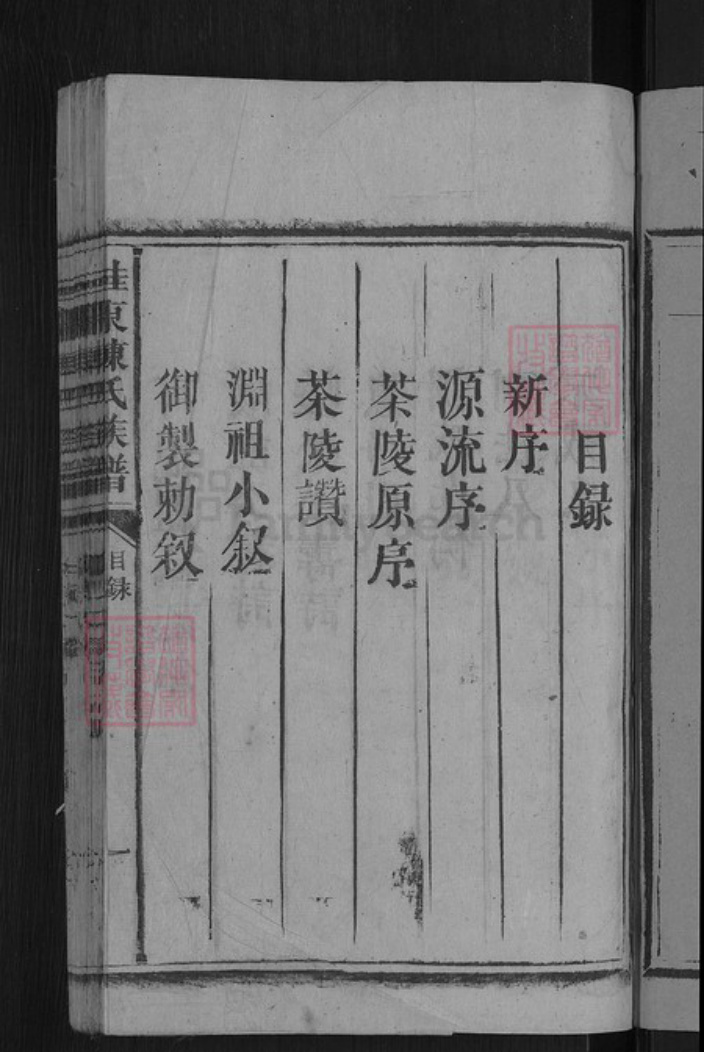 湖南省郴州市桂东县大塘镇陈氏颕川堂族谱-陈氏族谱.pdf电子版插图3