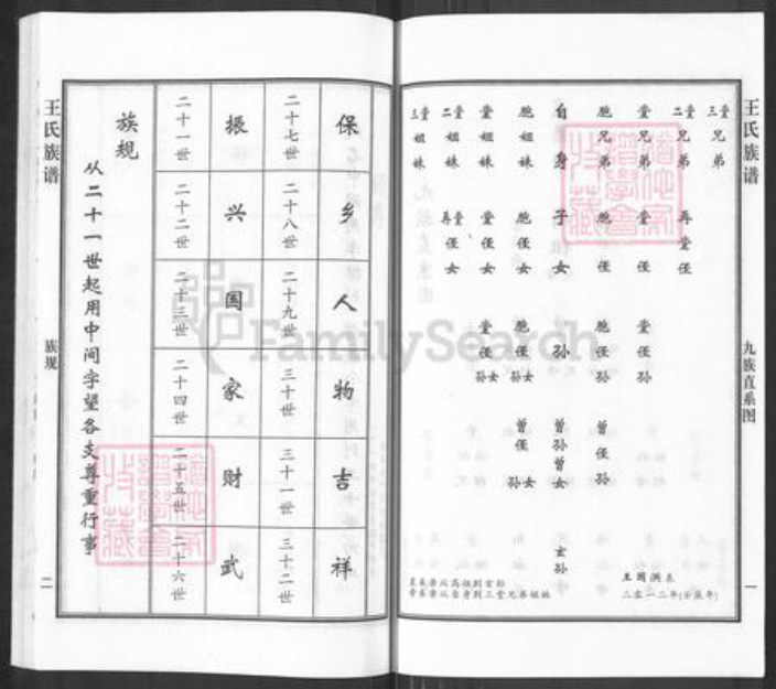 河北省沧州沧州地区南皮王氏族谱-王氏族谱.pdf电子版插图3
