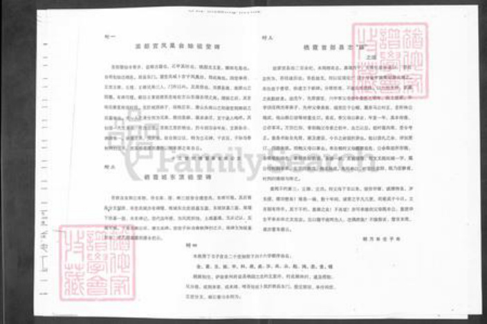 山东省烟台市栖霞市庄园街道王氏族谱-王氏谱书.pdf电子版插图3 山东省烟台市栖霞市庄园街道王氏族谱-王氏谱书.pdf电子版插图3