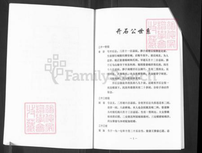 广东省揭阳市揭东区霖磐镇王氏族谱-王氏族谱.开石公世系.pdf电子版插图3 广东省揭阳市揭东区霖磐镇王氏族谱-王氏族谱.开石公世系.pdf电子版插图3