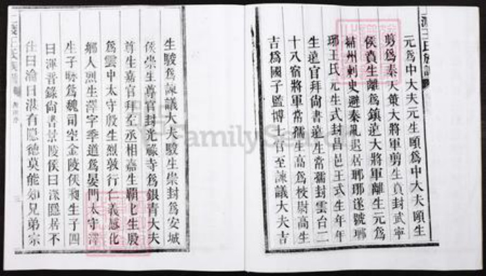 湖南省郴州市宜章县里田镇王氏族谱-湖南宜章县上渡王氏族谱.pdf电子版插图3 湖南省郴州市宜章县里田镇王氏族谱-湖南宜章县上渡王氏族谱.pdf电子版插图3