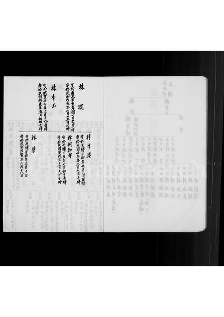 福建林氏族谱-[林氏家谱].pdf电子版插图3