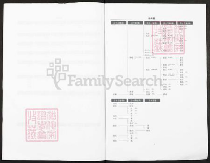 贵州省铜仁市铜仁市王氏族谱-贵州省沿河县城金田王氏族谱.pdf电子版插图3