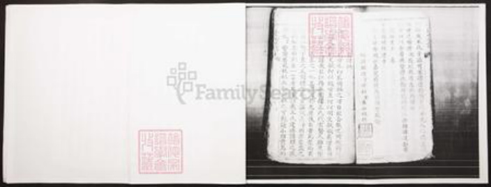 四川省泸州市江阳区王氏族谱-王氏家谱.pdf电子版插图3