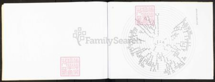 广东省广州市番禺区沙湾镇王氏族谱-番禺县沙湾乡王姓支派图.pdf电子版插图3