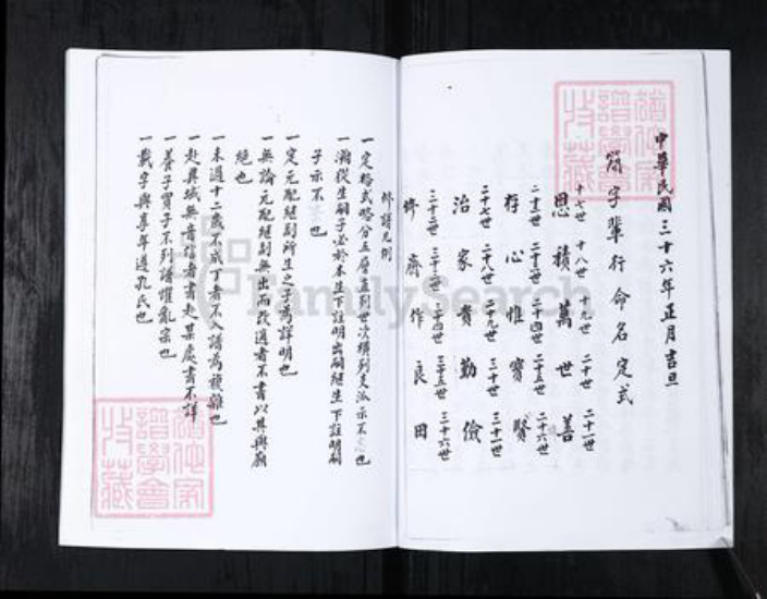 山东省青岛市崂山区王氏族谱-书院社区王氏族谱.pdf电子版插图3