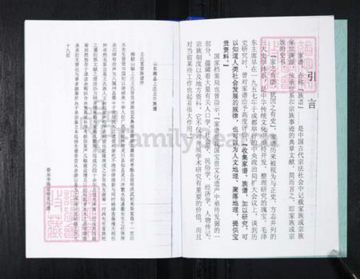 山东省青岛市王氏族谱-流亭红端口村王氏族谱.pdf电子版插图3