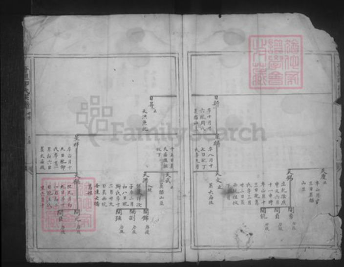 浙江省宁波市奉化区印氏族谱-甘里印氏宗谱.pdf电子版插图3