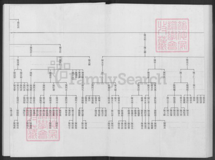 台湾台北市文山区陈氏族谱-陈志抱派下谱系世系表.pdf电子版插图3