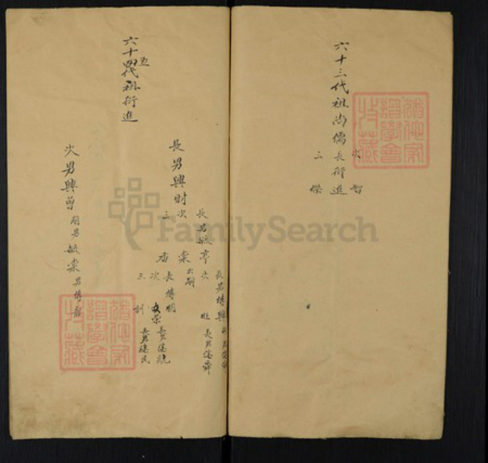 山东省济南市长清区文昌街道孟氏族谱-Missing Title.pdf电子版插图3