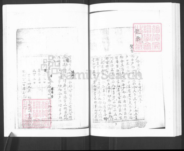 山东省烟台市栖霞市王氏族谱-栖霞王氏族谱.pdf电子版预览图3