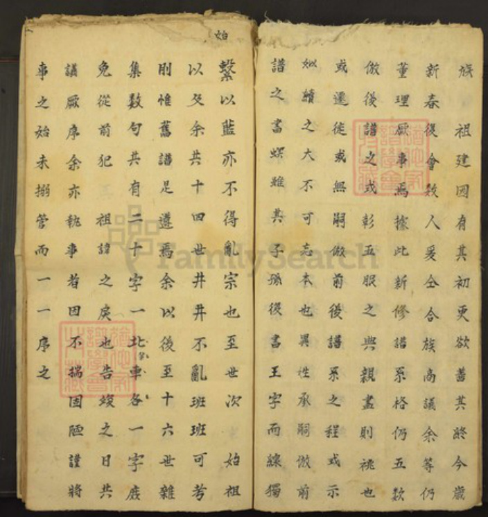 山西省王氏族谱-王氏宗谱.pdf电子版插图3