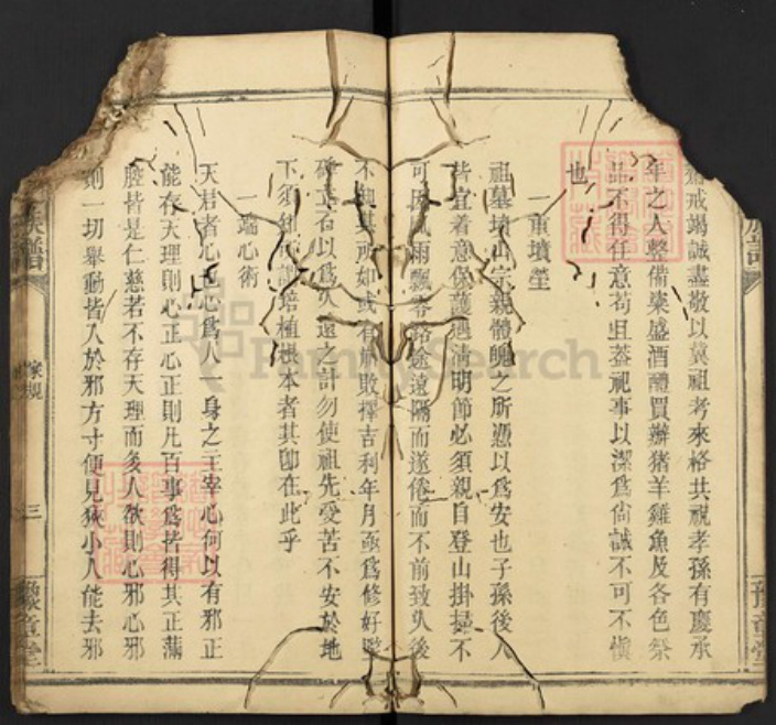 江西省罗氏族谱-罗氏族谱.pdf电子版插图3 江西省罗氏族谱-罗氏族谱.pdf电子版插图3