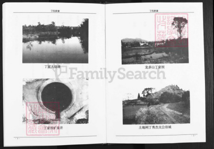 四川省遂宁市蓬溪县湖南省丁氏族谱-丁氏家谱.pdf电子版插图3 四川省遂宁市蓬溪县湖南省丁氏族谱-丁氏家谱.pdf电子版插图3