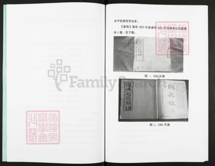 山东省枣庄市滕州市石氏族谱-鲁南滕州市大石楼村石氏.pdf电子版插图3