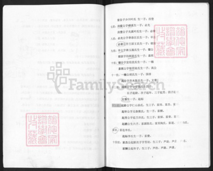 江苏省南京市六合区朱氏玉照堂族谱-朱氏家谱.pdf电子版插图3