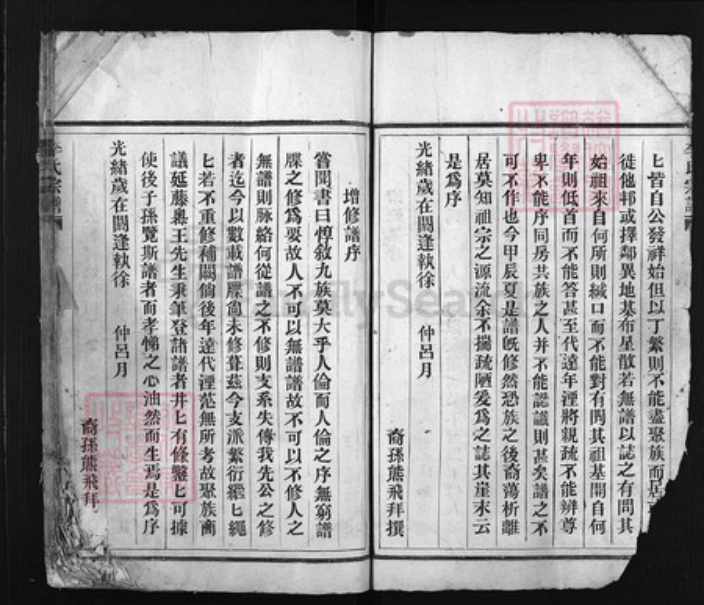 江西省赣州市瑞金市李氏族谱-陇西郡李氏宗谱 [总卷数不详].pdf电子版插图3