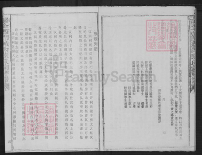 江西省赣州市瑞金市张氏族谱-瑞金西门城内张氏祠牌谱.pdf电子版插图3