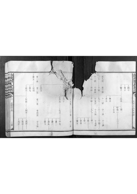 福建刘氏族谱-彭城刘氏族谱[4卷,首1卷].pdf电子版插图3