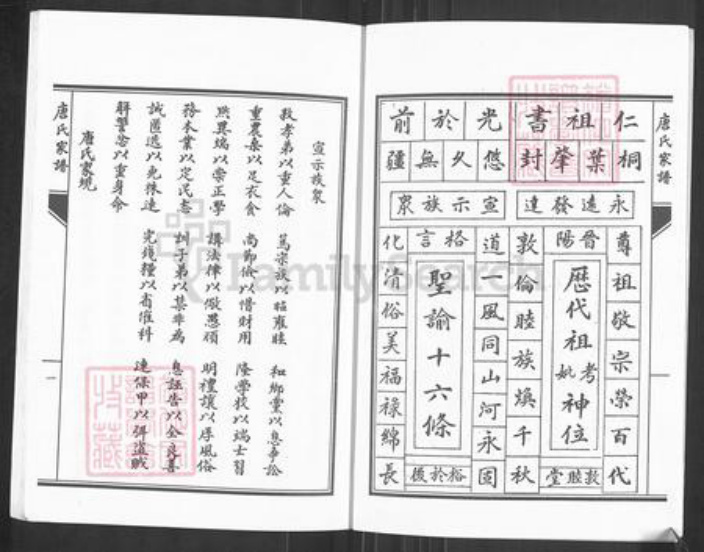 湖南省永州市零陵区唐氏族谱-唐氏家谱.pdf电子版插图3