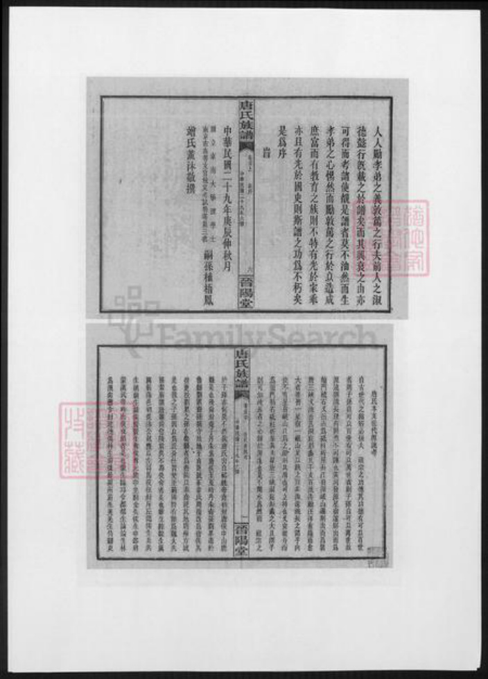 湖南省长沙市浏阳市浏阳唐氏族谱-晋阳唐氏族谱.pdf电子版插图3