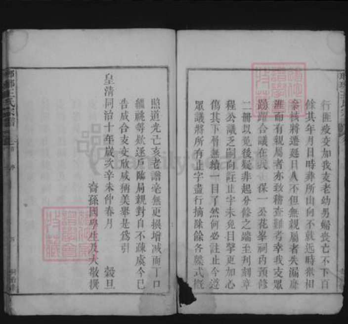 江西省九江市湖口县王氏族谱-琅琊王氏宗谱 [不分卷].pdf电子版插图3