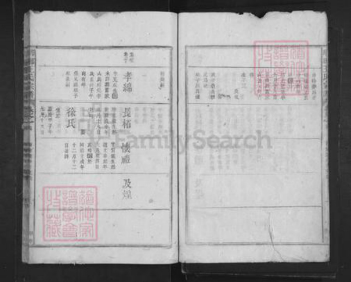 山东省临沂市临沂市王氏族谱-琅琊王氏宗谱.pdf电子版插图3