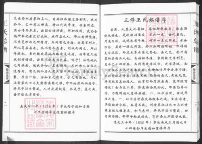 山东省东营市利津县明集乡王氏族谱-王氏总谱.pdf电子版插图3