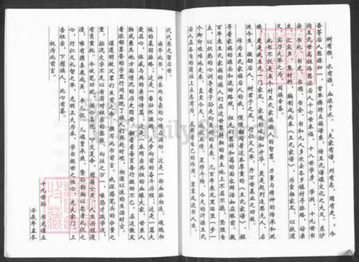 山东省淄博市沂源县中庄镇王氏族谱-王氏家谱.pdf电子版插图3 山东省淄博市沂源县中庄镇王氏族谱-王氏家谱.pdf电子版插图3