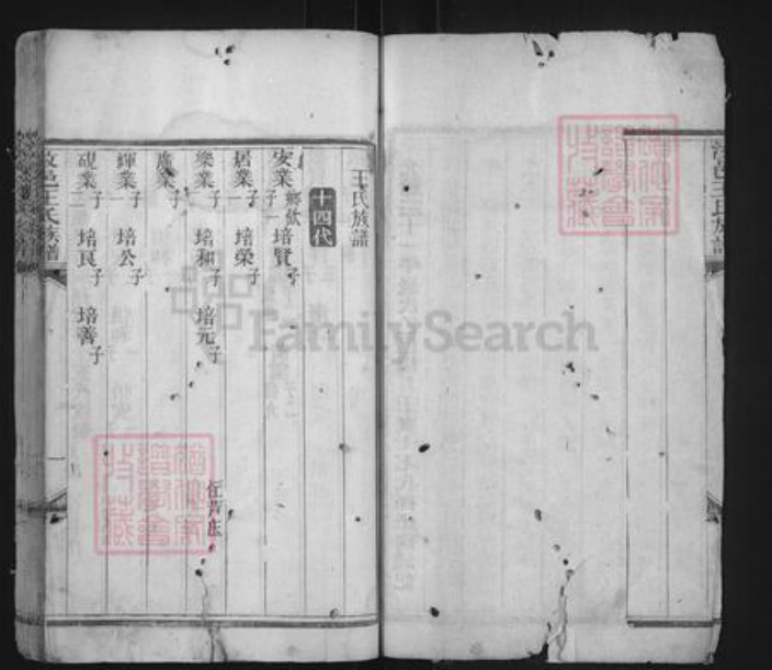 山东省济宁市汶上县王氏族谱-汶邑王氏族谱.pdf电子版插图3 山东省济宁市汶上县王氏族谱-汶邑王氏族谱.pdf电子版插图3