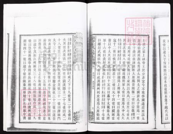 江西省吉安市吉安市王氏槐荫堂族谱-江西庐陵太原王氏.泉冲王氏五修族谱.pdf电子版插图3