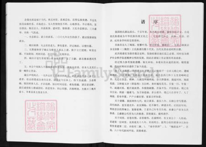 湖北省荆州市监利县容城镇王氏三槐堂族谱-监利王氏宗谱.pdf电子版插图3