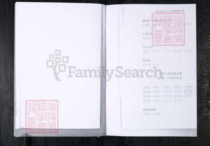 山东省青岛市城阳区王氏族谱-王氏家谱.城阳区红岛前阳村.pdf电子版插图3