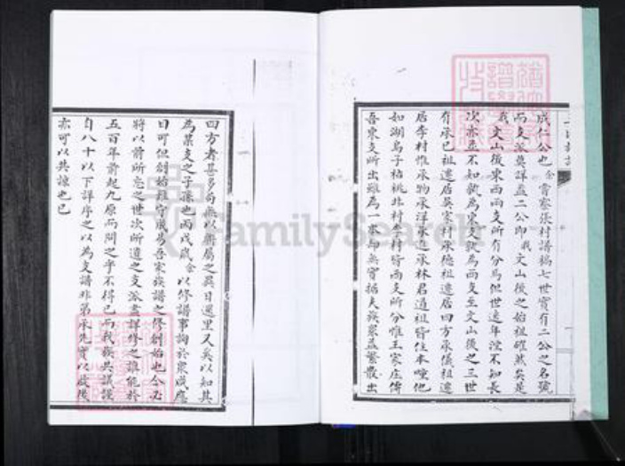 山东省青岛市崂山区王氏族谱-北村孙后王氏族谱.pdf电子版插图3