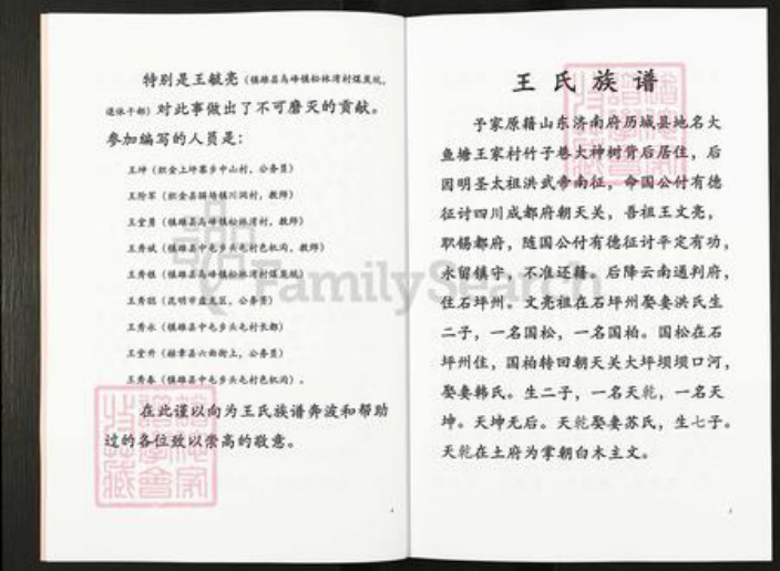 云南省昭通市镇雄县乌峰王氏族谱-王氏家谱.pdf电子版插图3