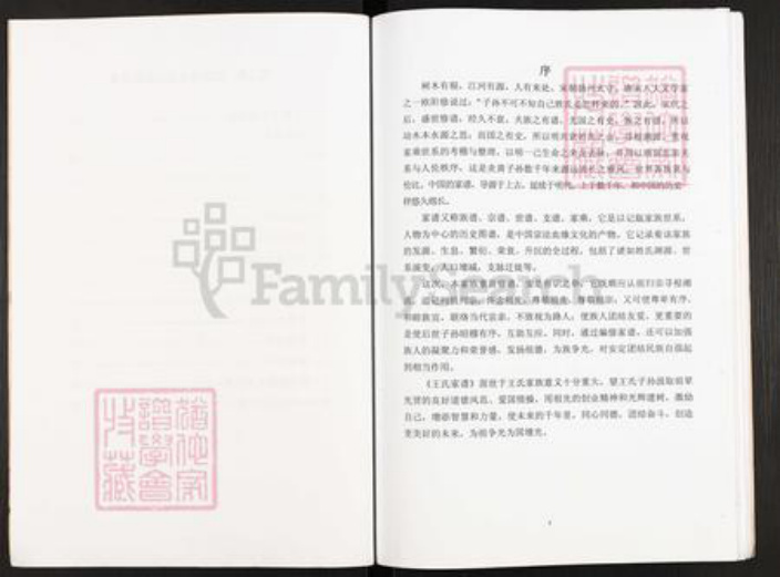 江苏省扬州市仪征市大仪镇王氏三槐堂族谱-王氏家谱.pdf电子版插图3