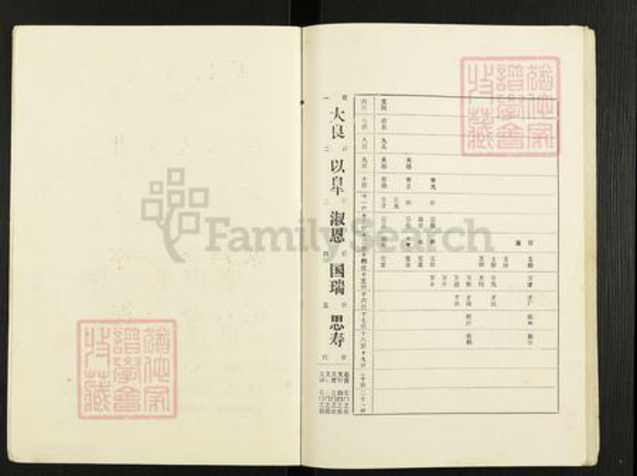 江苏省扬州市高邮市界首镇王氏槐荫堂族谱-王氏家谱.pdf电子版插图3 江苏省扬州市高邮市界首镇王氏槐荫堂族谱-王氏家谱.pdf电子版插图3