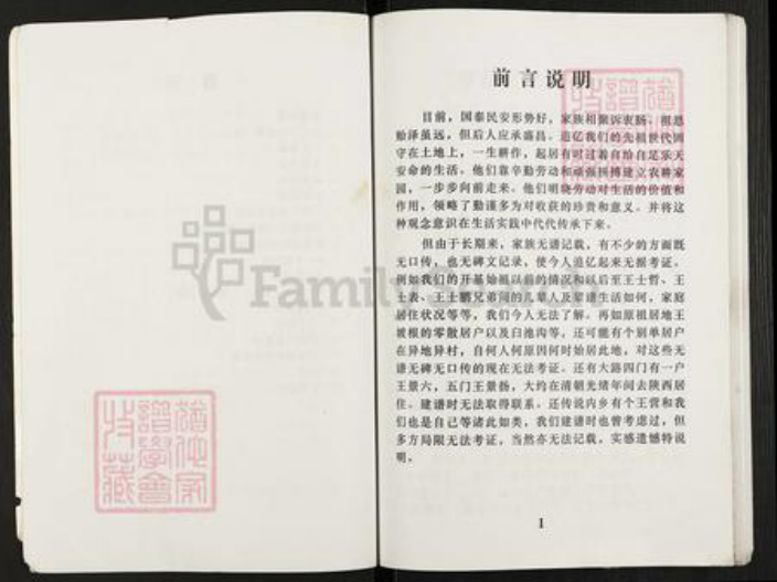 河南省南阳市淅川县上集镇王氏族谱-王氏宗谱.pdf电子版插图3