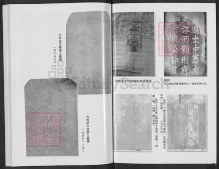 山西省临汾市汾西县团柏乡仇氏族谱-仇氏族谱.pdf电子版插图3