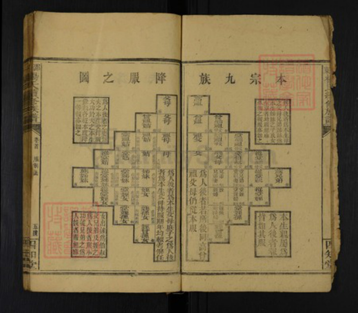 湖南省邵阳市邵东杨氏四知堂族谱-邵东杨氏续修族谱.pdf电子版插图3 湖南省邵阳市邵东杨氏四知堂族谱-邵东杨氏续修族谱.pdf电子版插图3