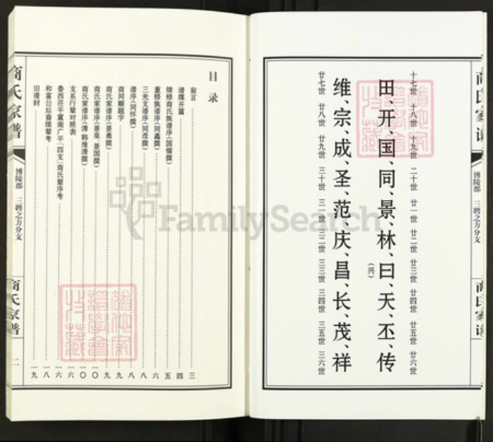 山东省聊城市茌平区菜屯镇山东省聊城市商氏追远堂族谱-商氏家谱.三聘之方分支.pdf电子版插图3