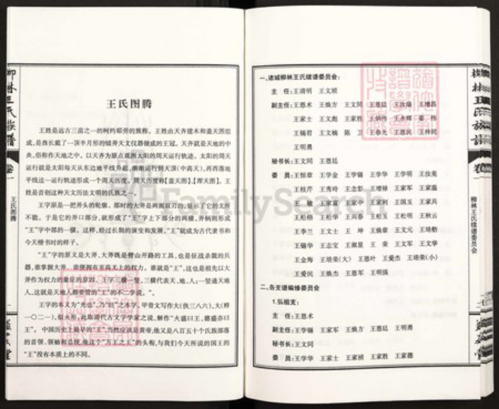 山东省潍坊市诸城市皇华镇王氏益友堂族谱-诸城柳林王氏族谱.pdf电子版插图3