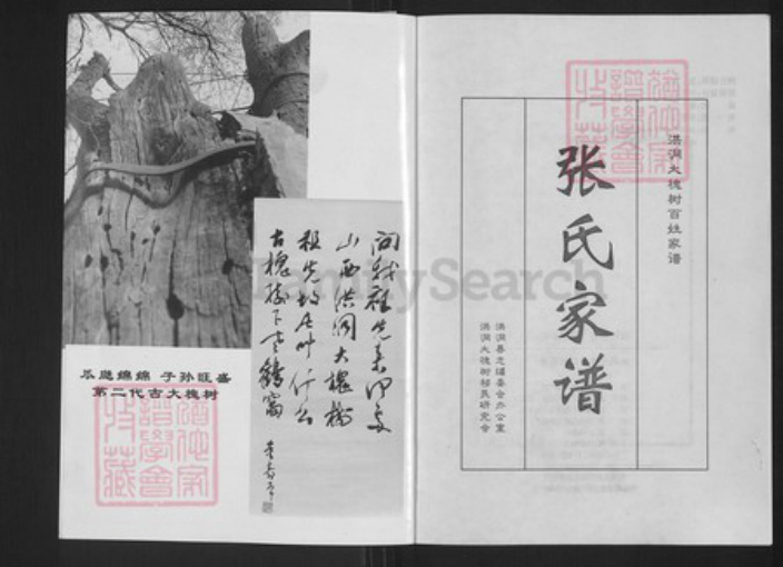 山西省临汾市洪洞县张；张氏族谱-洪桐大槐树百姓家谱.张氏家谱.pdf电子版插图3