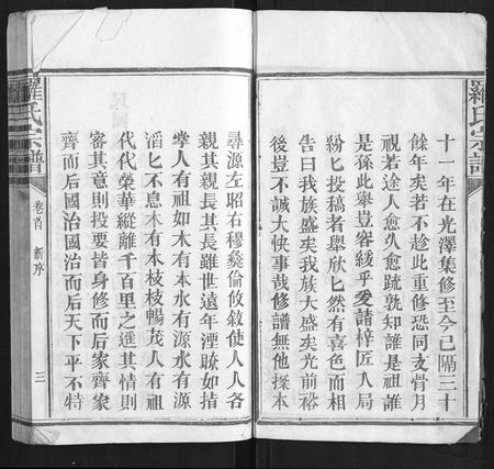 福建罗氏族谱-罗氏宗谱[9卷首1卷].pdf电子版插图3