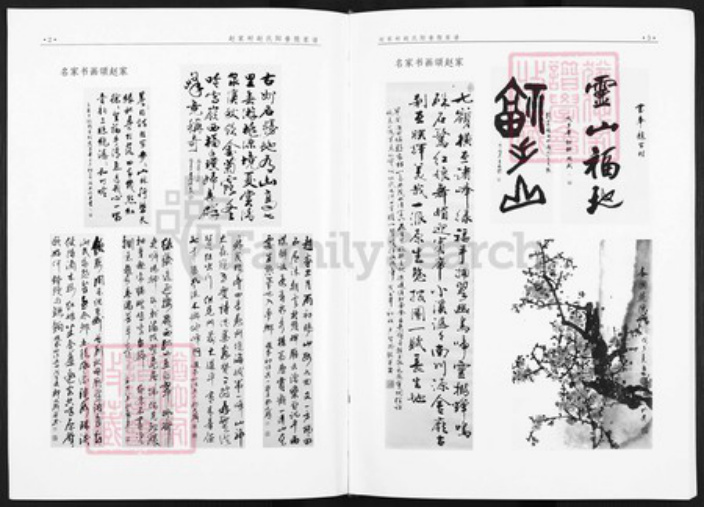 山西省阳泉市平定县冶西镇赵氏族谱-赵家村赵氏阳眷股家谱.pdf电子版插图3