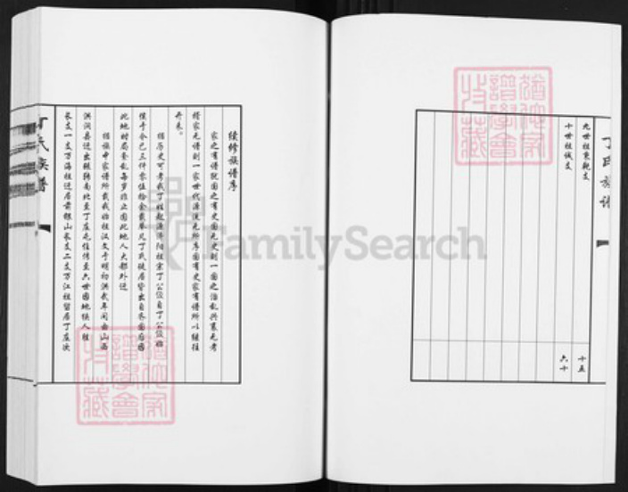 山东省济宁市梁山县丁氏族谱-丁氏族谱.pdf电子版插图3