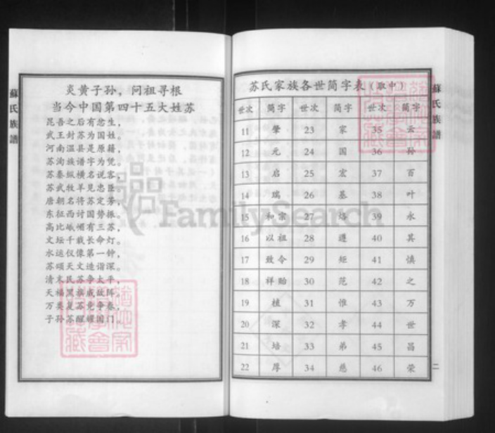 河北省沧州泊头市泊镇镇苏氏族谱-苏氏族谱.pdf电子版插图3