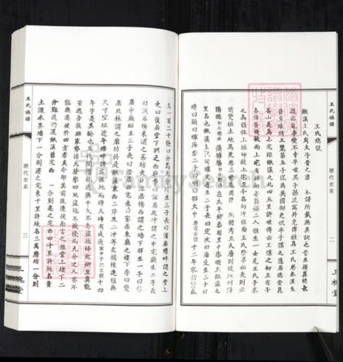 江西省九江市德安县王氏三槐堂族谱-王氏族谱.pdf电子版插图3